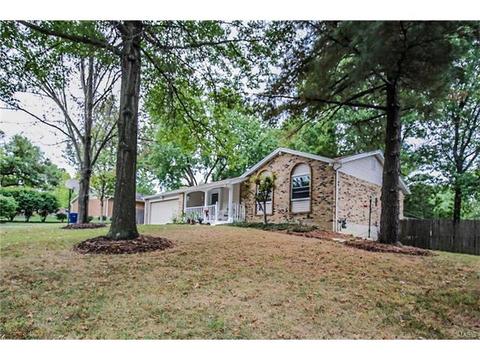 228 Rendina, Ellisville, MO 63011 photo 22