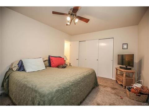 228 Rendina, Ellisville, MO 63011 photo 13