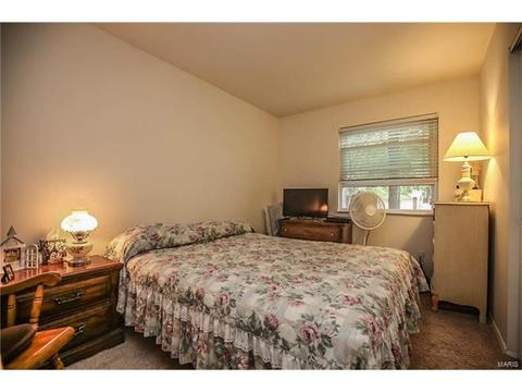 228 Rendina, Ellisville, MO 63011 photo 16