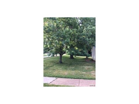 15 Hassam Ct, Ballwin, MO 63021 photo 27
