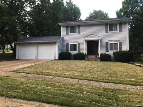 15 Hassam Ct, Ballwin, MO 63021 photo 30
