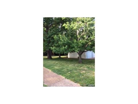 15 Hassam Ct, Ballwin, MO 63021 photo 26