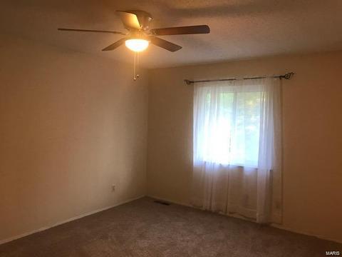 15 Hassam Ct, Ballwin, MO 63021 photo 17