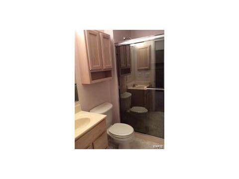 15 Hassam Ct, Ballwin, MO 63021 photo 20