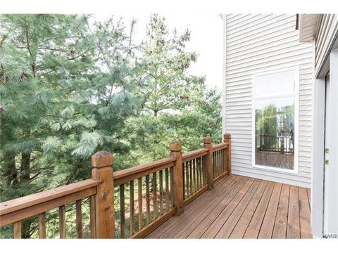 1215 Polo Lake Dr, Ellisville, MO 63021 photo 32