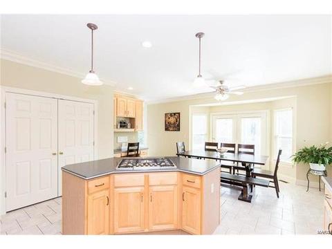 1215 Polo Lake Dr, Ellisville, MO 63021 photo 19