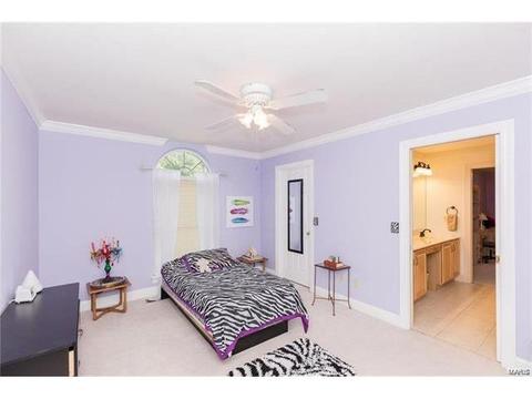 1215 Polo Lake Dr, Ellisville, MO 63021 photo 39