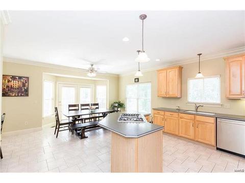 1215 Polo Lake Dr, Ellisville, MO 63021 photo 18