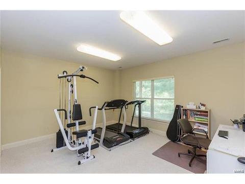 1215 Polo Lake Dr, Ellisville, MO 63021 photo 48