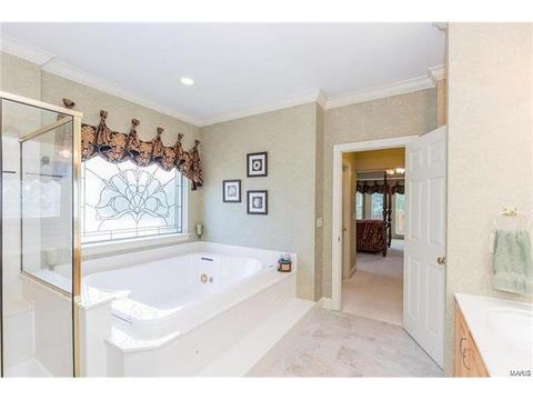 1215 Polo Lake Dr, Ellisville, MO 63021 photo 34