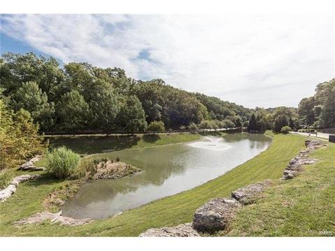1215 Polo Lake Dr, Ellisville, MO 63021 photo 49