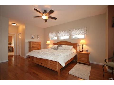 730 Enderwood Pl, Eureka, MO 63025 photo 15