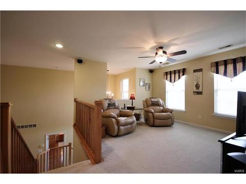 730 Enderwood Pl, Eureka, MO 63025 photo 19