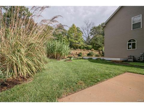 730 Enderwood Pl, Eureka, MO 63025 photo 25