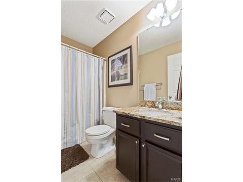 4 Georgetown Ct, O'fallon, MO 63368 photo 28