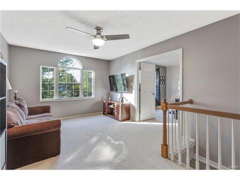 4 Georgetown Ct, O'fallon, MO 63368 photo 26