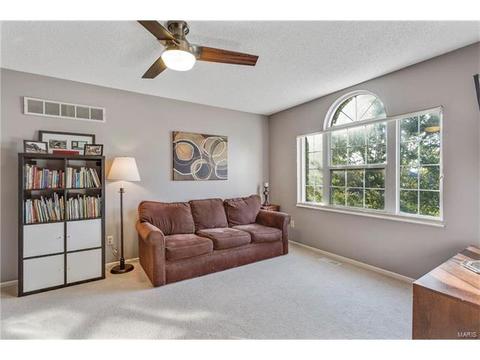 4 Georgetown Ct, O'fallon, MO 63368 photo 27