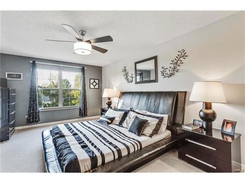 4 Georgetown Ct, O'fallon, MO 63368 photo 19