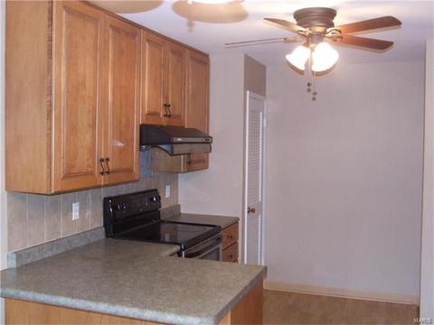 349 Sorrento Dr, Ballwin, MO 63021 photo 9