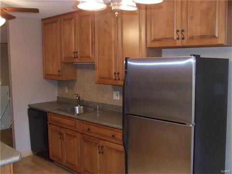 349 Sorrento Dr, Ballwin, MO 63021 photo 13