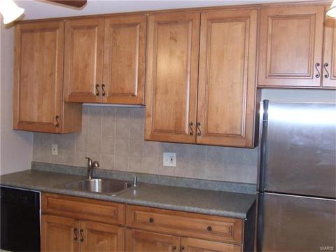349 Sorrento Dr, Ballwin, MO 63021 photo 14