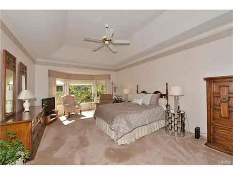 16010 Pierside Ln, Ellisville, MO 63021 photo 24