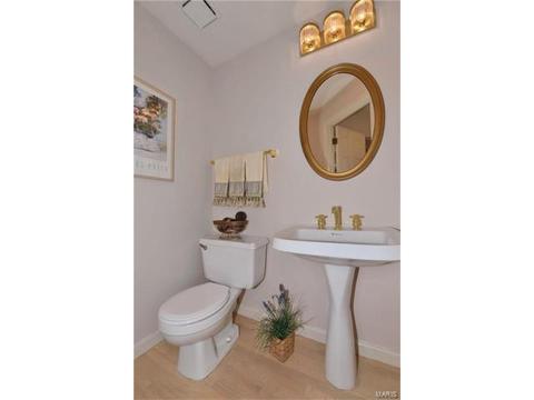 16010 Pierside Ln, Ellisville, MO 63021 photo 27