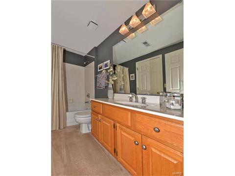 16010 Pierside Ln, Ellisville, MO 63021 photo 38