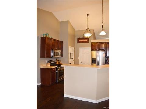 116 Fox Hvn, O'fallon, MO 63368 photo 21