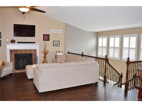 116 Fox Hvn, O'fallon, MO 63368 photo 12