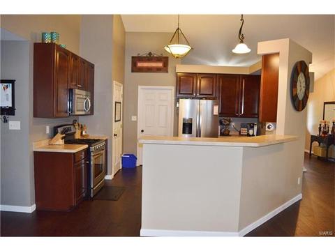 116 Fox Hvn, O'fallon, MO 63368 photo 28