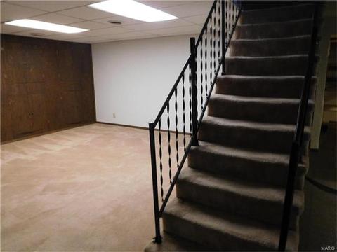 715 Whitewillow, Ballwin, MO 63021 photo 17