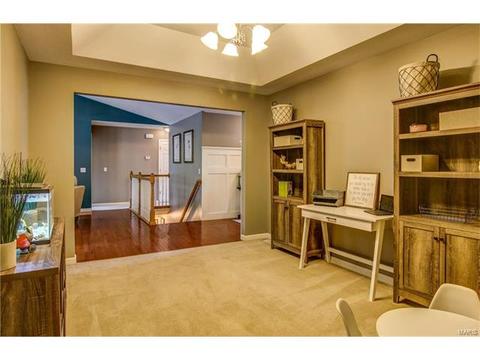 604 Falling Brook Dr, O'fallon, MO 63366 photo 13