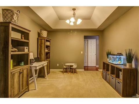 604 Falling Brook Dr, O'fallon, MO 63366 photo 12