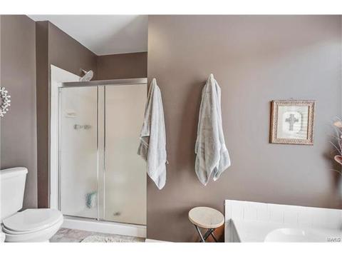 17181 Elm Trail Dr, Eureka, MO 63025 photo 19