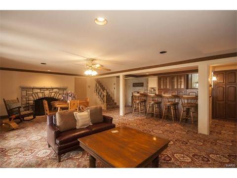 7316 Christopher, Saint Louis, MO 63129 photo 42