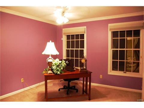 2207 Glencoe Summit Ct, Wildwood, MO 63011 photo 18