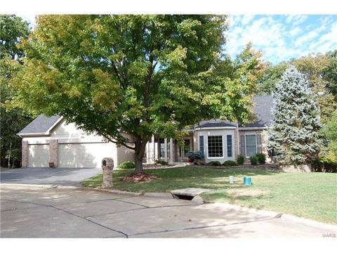 2207 Glencoe Summit Ct, Wildwood, MO 63011 photo 26