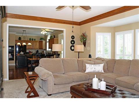 425 April Oaks Ct, Ballwin, MO 63021 photo 9