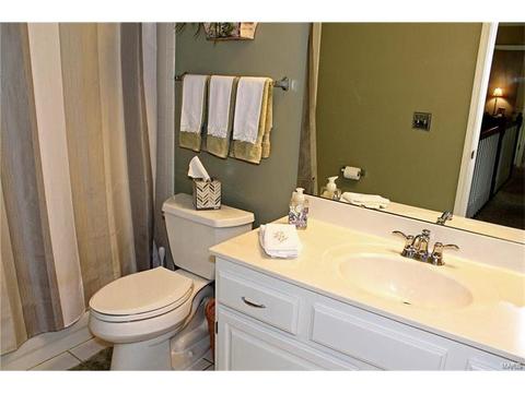 425 April Oaks Ct, Ballwin, MO 63021 photo 20