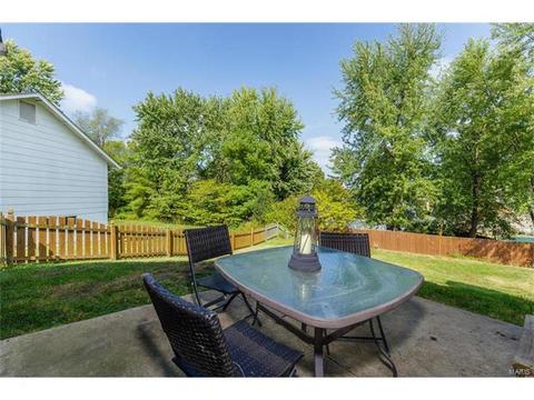 4 Bingham Ct, Saint Peters, MO 63376 photo 44