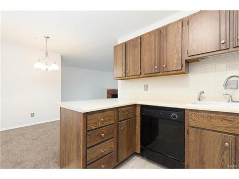 1300 Holgate Dr #G4, Ballwin, MO 63021 photo 10