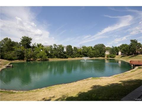 1300 Holgate Dr #G4, Ballwin, MO 63021 photo 25