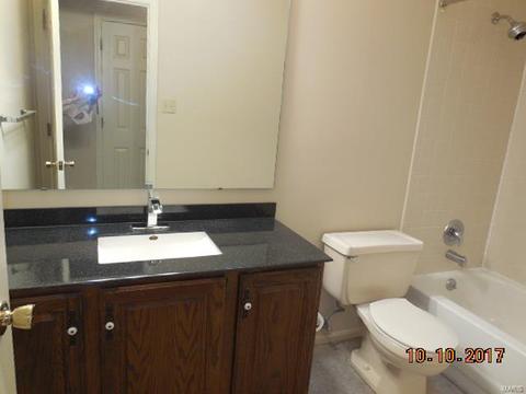 2519 Elm Forest Ct, Wildwood, MO 63011 photo 6