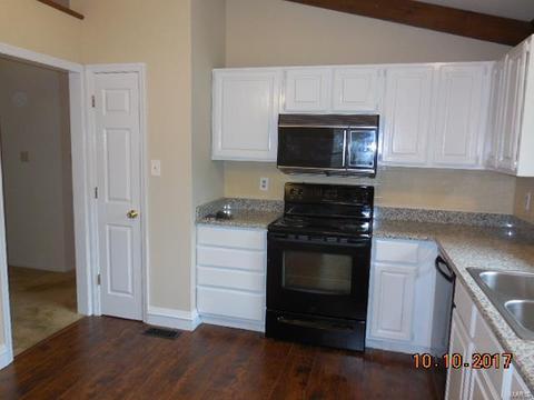 2519 Elm Forest Ct, Wildwood, MO 63011 photo 3