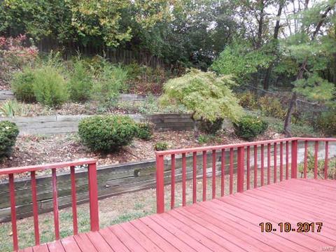 2519 Elm Forest Ct, Wildwood, MO 63011 photo 14