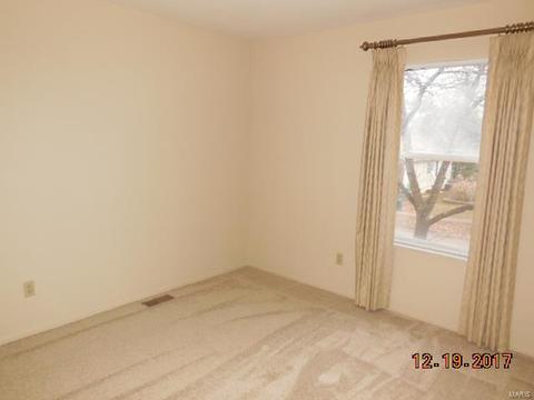 2519 Elm Forest Ct, Wildwood, MO 63011 photo 9