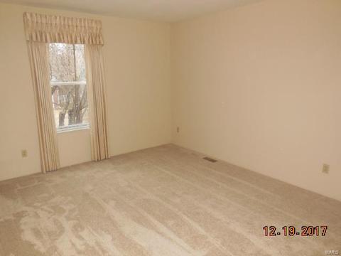 2519 Elm Forest Ct, Wildwood, MO 63011 photo 11