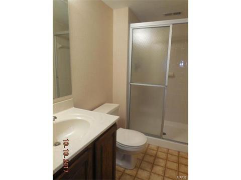 2519 Elm Forest Ct, Wildwood, MO 63011 photo 7
