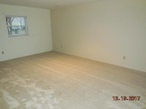 2519 Elm Forest Ct, Wildwood, MO 63011 photo 10